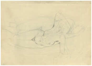 Visualizza l'immagine "FD Album 9, 19"